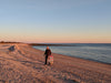 Beach Cleanup Tools: A Practical Guide for Coastal Volunteers